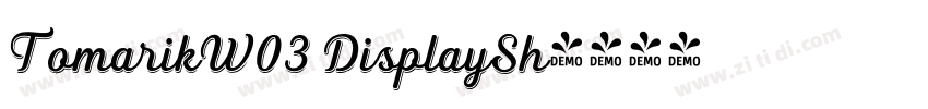 TomarikW03 DisplaySh字体转换